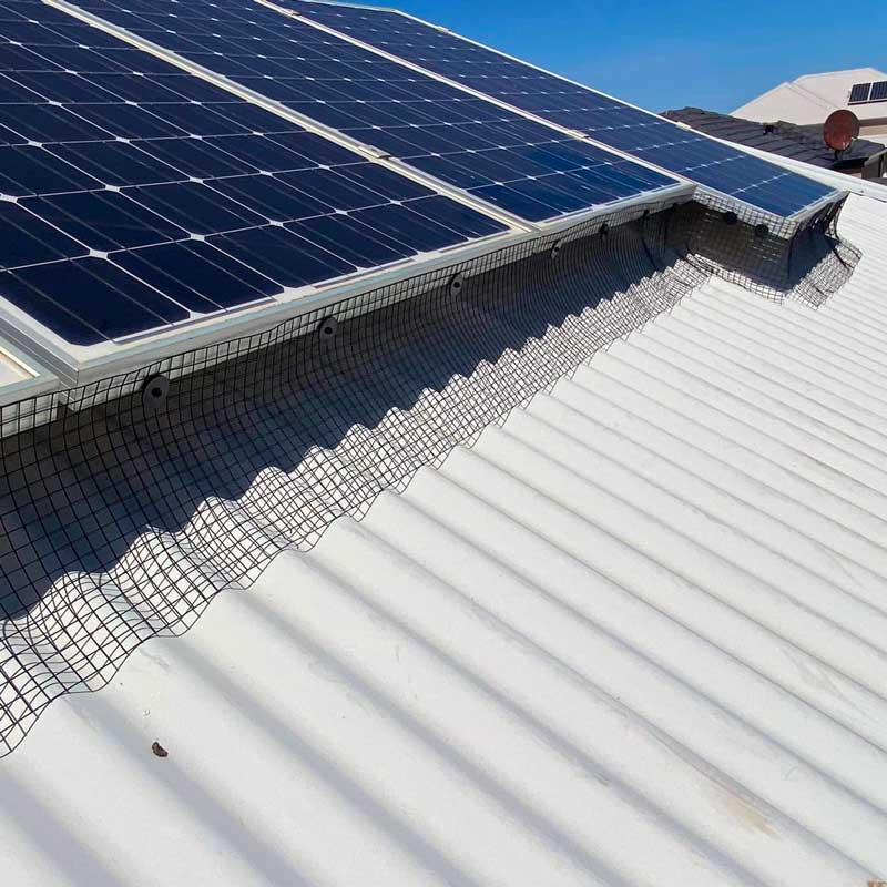Solar panel bird proofing Bird proofing installed around solar panels